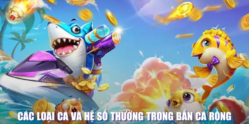 Bắn Cá Rồng - Thử Thách Chinh Phục Loài Sinh Vật Hiếm 3 Hệ thống cá trong tựa game này